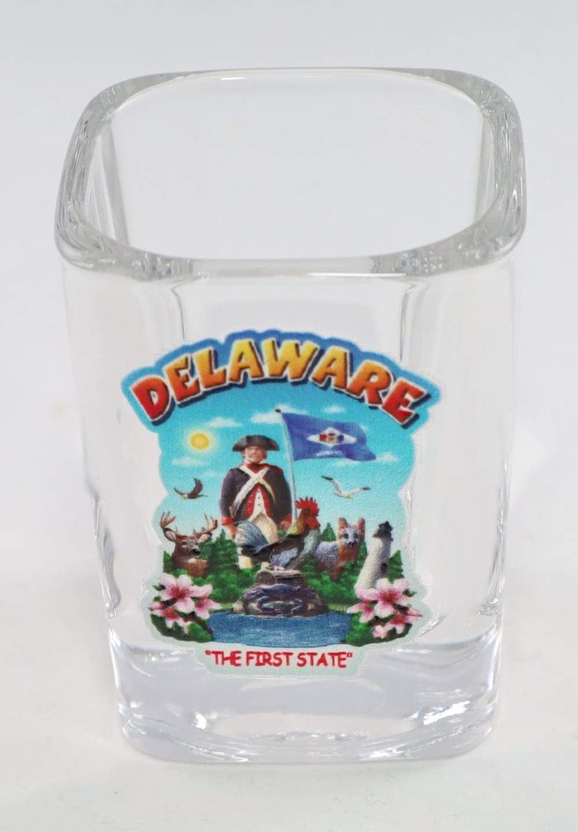 Delaware Souvenir Vierkant Shotglas voor Verzamelaars