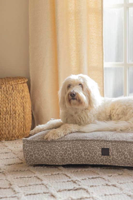 Een witte labradoodle ligt op een beige hondenmand met luipaardprint.
