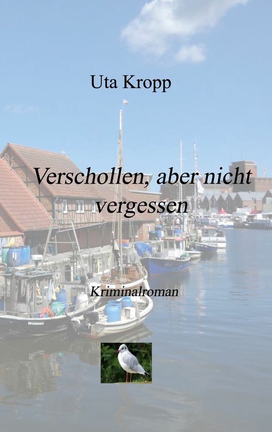 Verschollen, aber nicht vergessen - cover