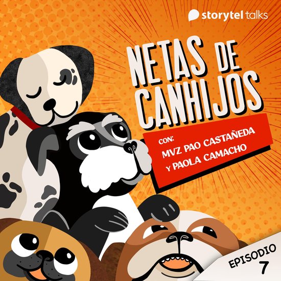¿Los perros necesitan de entrenamiento? - cover