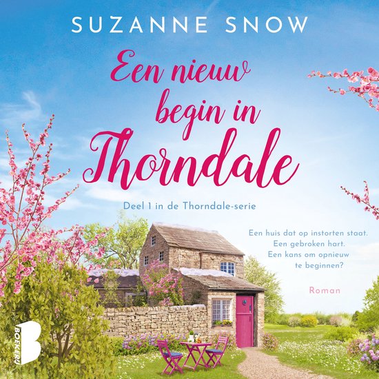 Een nieuw begin in Thorndale - cover