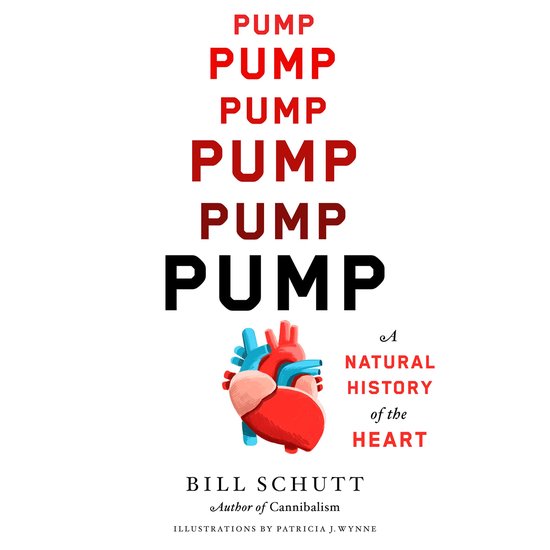 Pump - cover