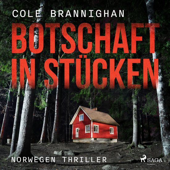 Botschaft in Stücken: Norwegen-Thriller - cover