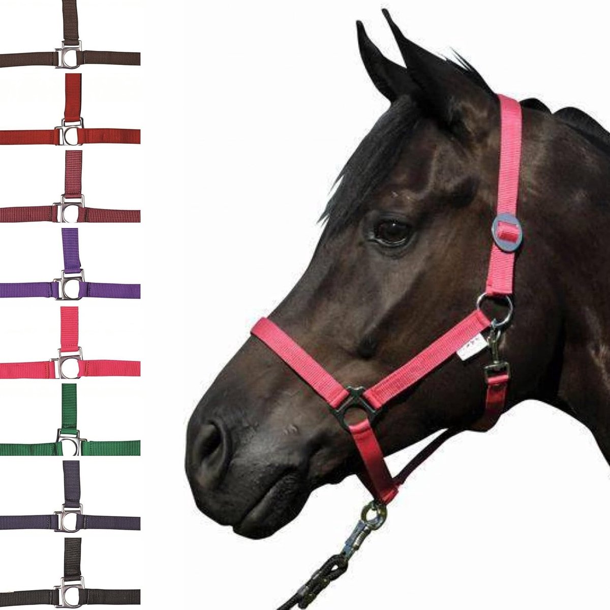 Paardenhalster - Stalhalster paard - Paardentraining en stalling - Duurzaam materiaal - 22 x 17 x 10 cm - Babyblauw
