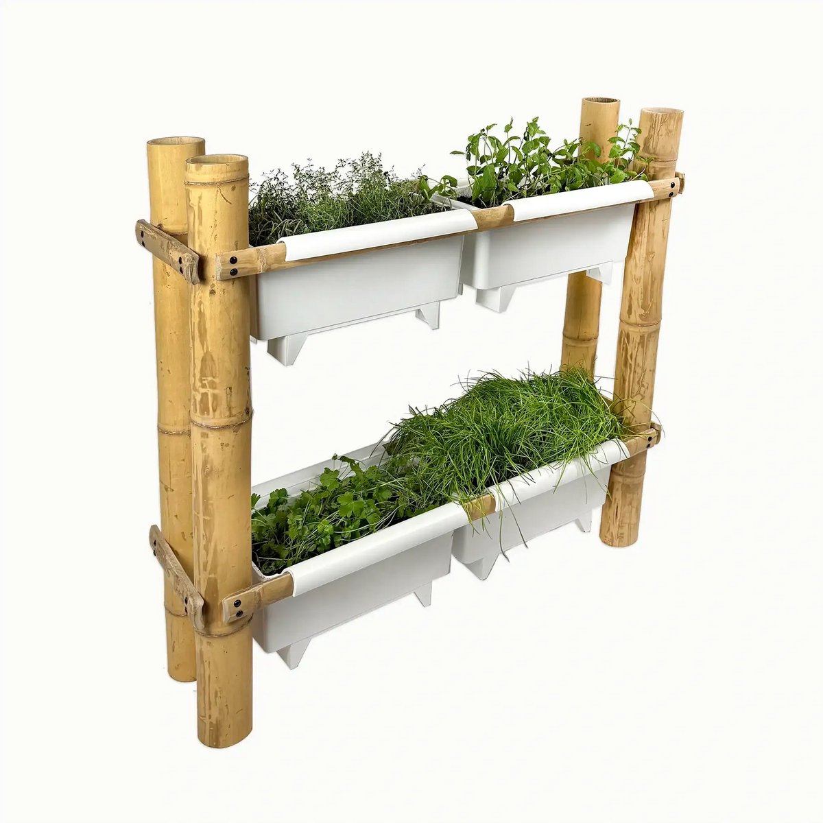 Masters of Bamboo® Bamboe Moestuinbak Berry - Wit - Kweekbak