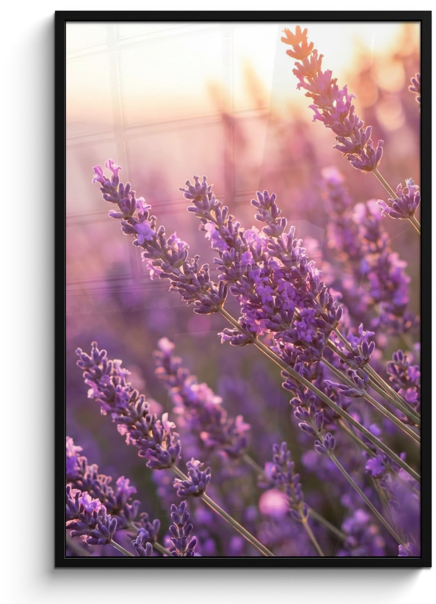 FrameYourWall Poster in lijst - Fotolijst 80x120 cm - Posters - Lavendel - Paars - Zonlicht - Posterlijst zwart - Decoratie - Wanddecoratie woonkamer - Muurdecoratie slaapkamer
