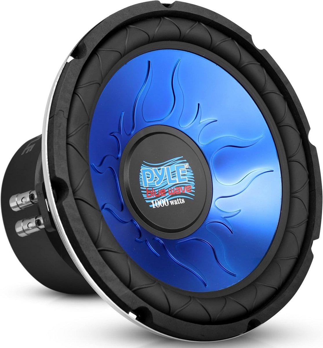 10 Inch Subwoofer Auto Luidspreker 1000W Dubbele Spreekspoel