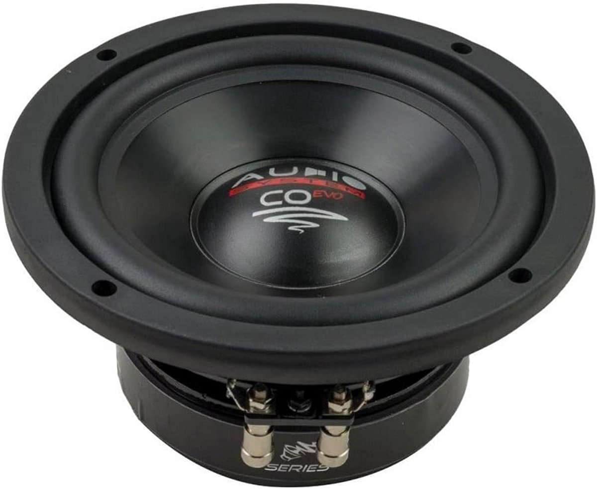 Subwoofer 16.5 cm (6.5 inch) 240 Watt 4 Ohm voor Auto Audio Systeem