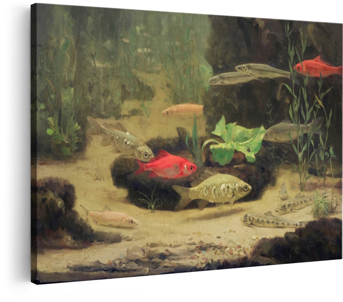 Artaza Canvas Schilderij Vissen - 90x60 cm - Wanddecoratie Aquarium - Muurdecoratie Natuur - Decoratie Dieren Schilderij