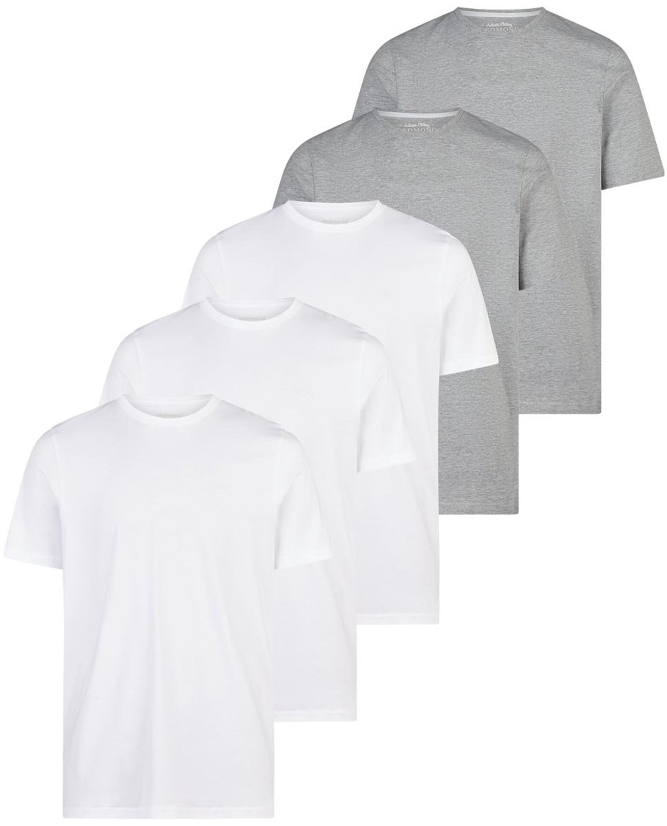 Redmond Heren t-shirt 5 pack Basic