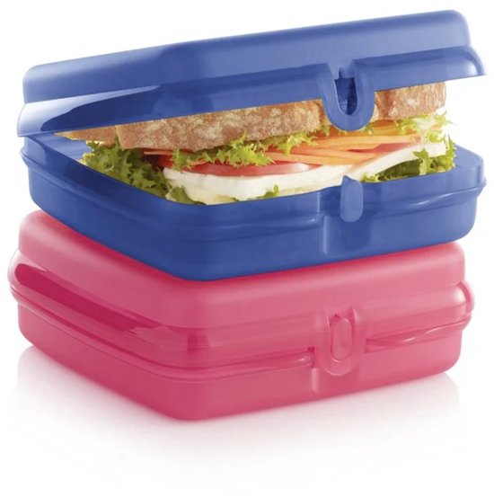 Une boîte à sandwich bleue et rose empilée avec un sandwich.