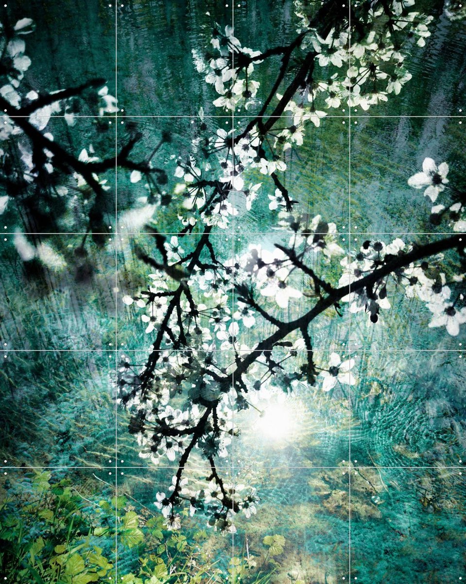 IXXI Blooms over Water, Angelo Cerantola - 80 x 100 cm - Gratis ophangtool - Grote wanddecoratie en posters - Fotografie, Bloemen, Landschappen