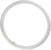 Philips MASTER TL-E Circular Super 80 40W - 840 - 4000K Koel wit - 40cm