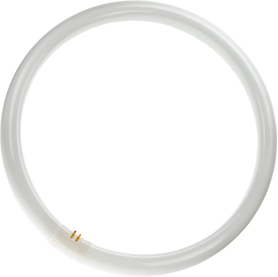 Witte ring tl-buis met 4 pinnen