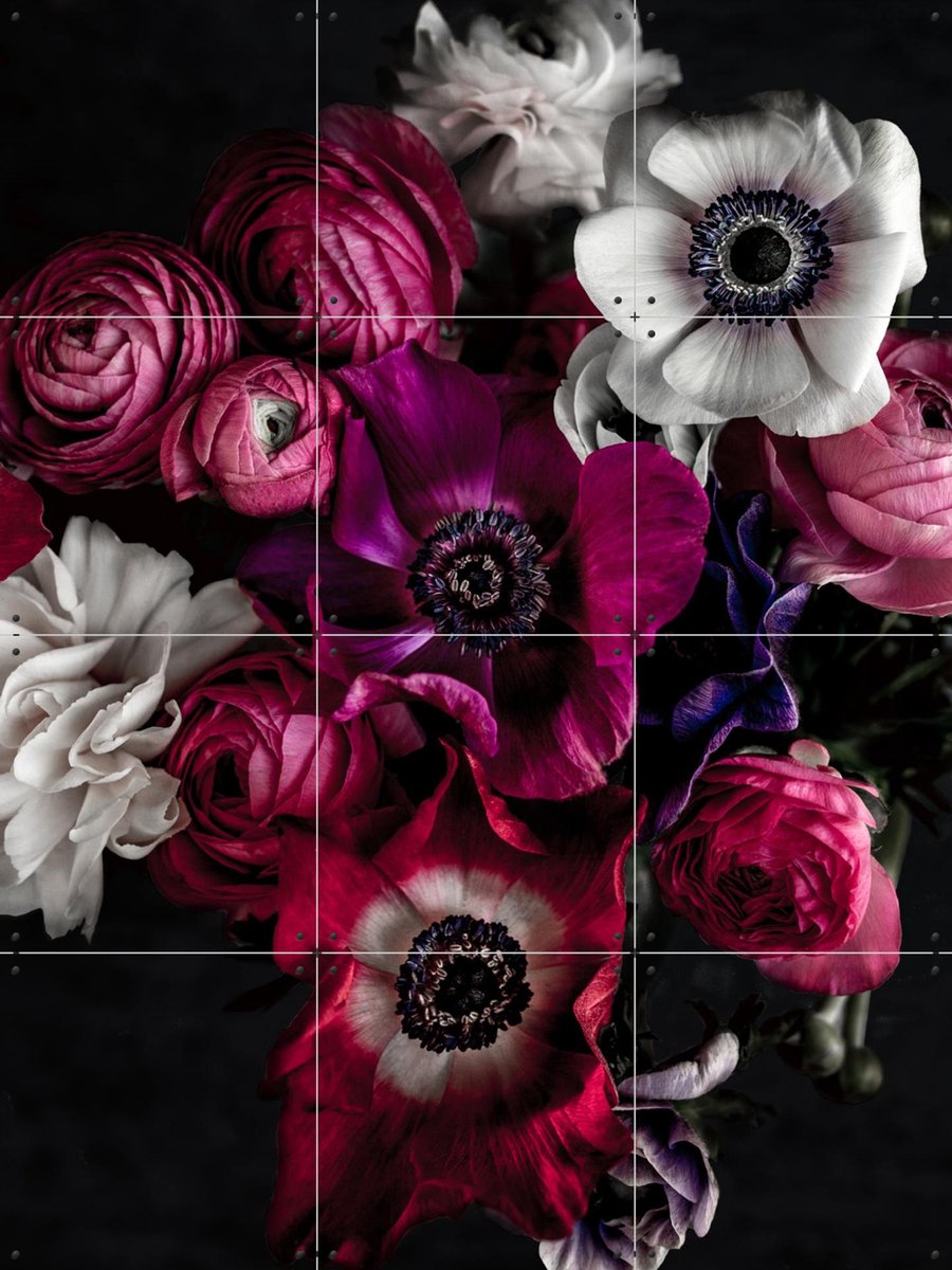 IXXI Dark Flowers, Mareike Böhmer - 60 x 80 cm - Gratis ophangtool - Grote wanddecoratie en posters - Fotografie, Eetkamer, Woonkamer, Slaapkamer