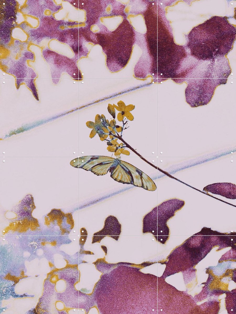IXXI For The Better, Amber Lauder - 60 x 80 cm - Gratis ophangtool - Grote wanddecoratie en posters - Abstract, Aquarel, Kleurrijk, Woonkamer