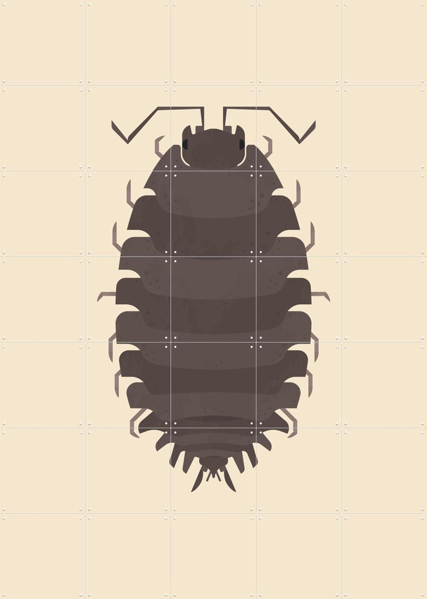IXXI Woodlouse, Studio Kars + Boom - 100 x 140 cm - Gratis ophangtool - Grote wanddecoratie en posters - Digitale Kunst, Grafisch Ontwerp