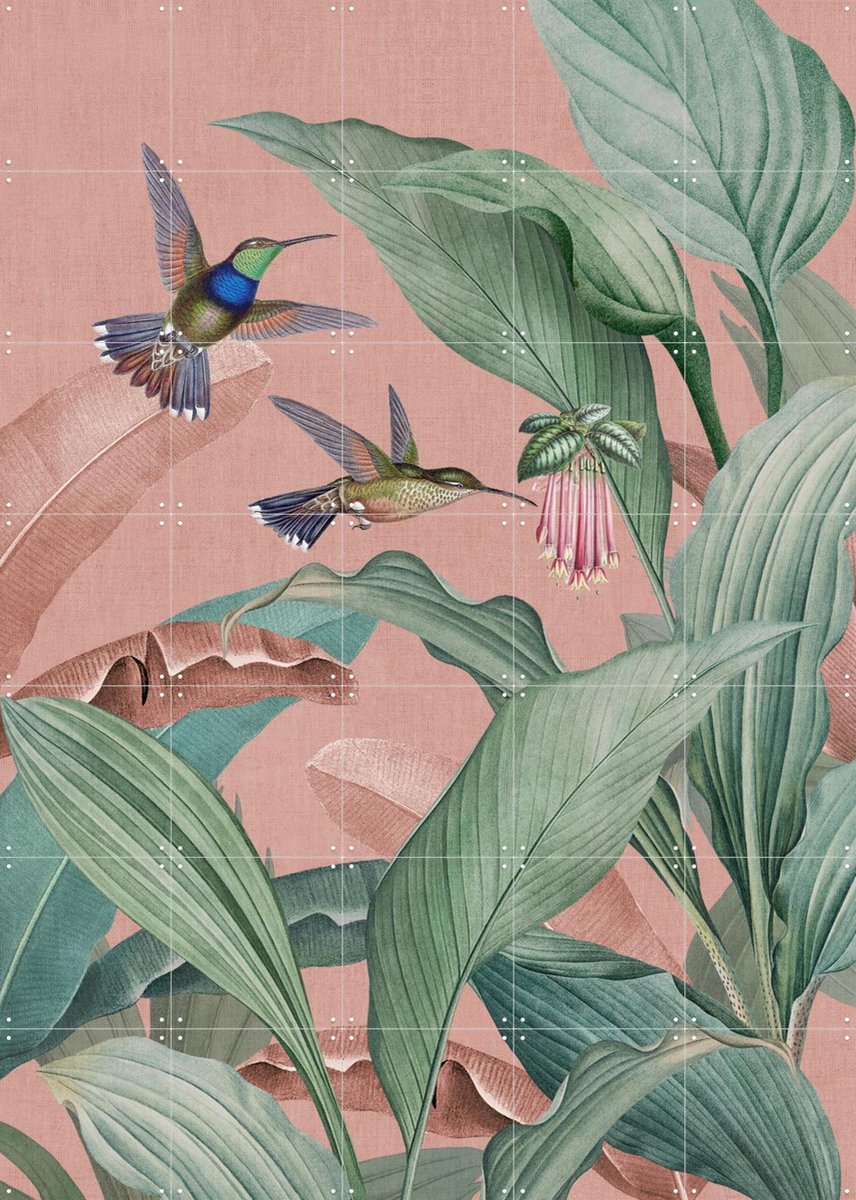IXXI Birds of Paradise Garden, Bloomery Decor - 100 x 140 cm - Gratis ophangtool - Grote wanddecoratie en posters - Kleurrijk, Illustraties