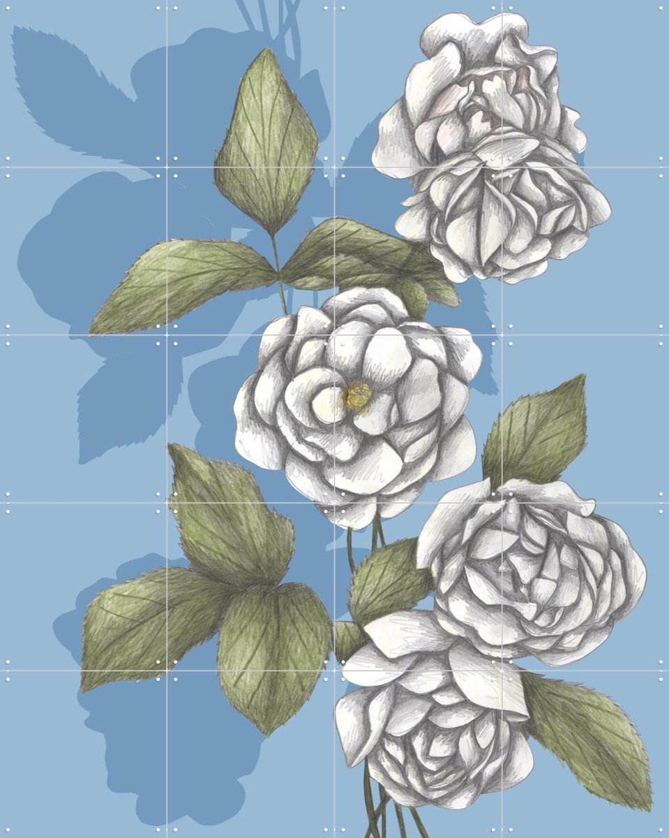 IXXI White Roses, Cecilia Battaini - 80 x 100 cm - Gratis ophangtool - Grote wanddecoratie en posters - Tekeningen, Naturalisme, Illustraties
