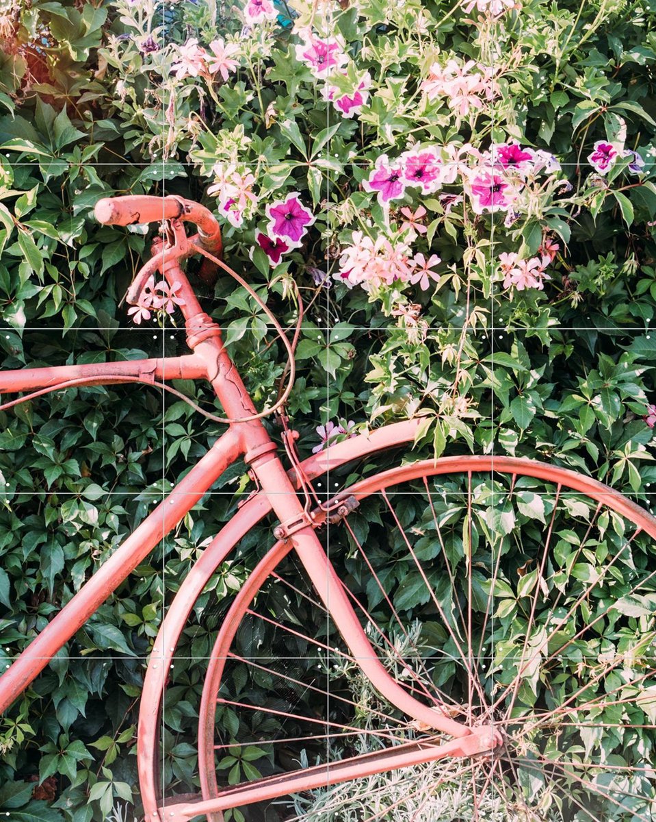 IXXI Pink Bicycle, Pati Photography - 80 x 100 cm - Gratis ophangtool - Grote wanddecoratie en posters - Kleurrijk, Vintage, Fotografie, Keuken