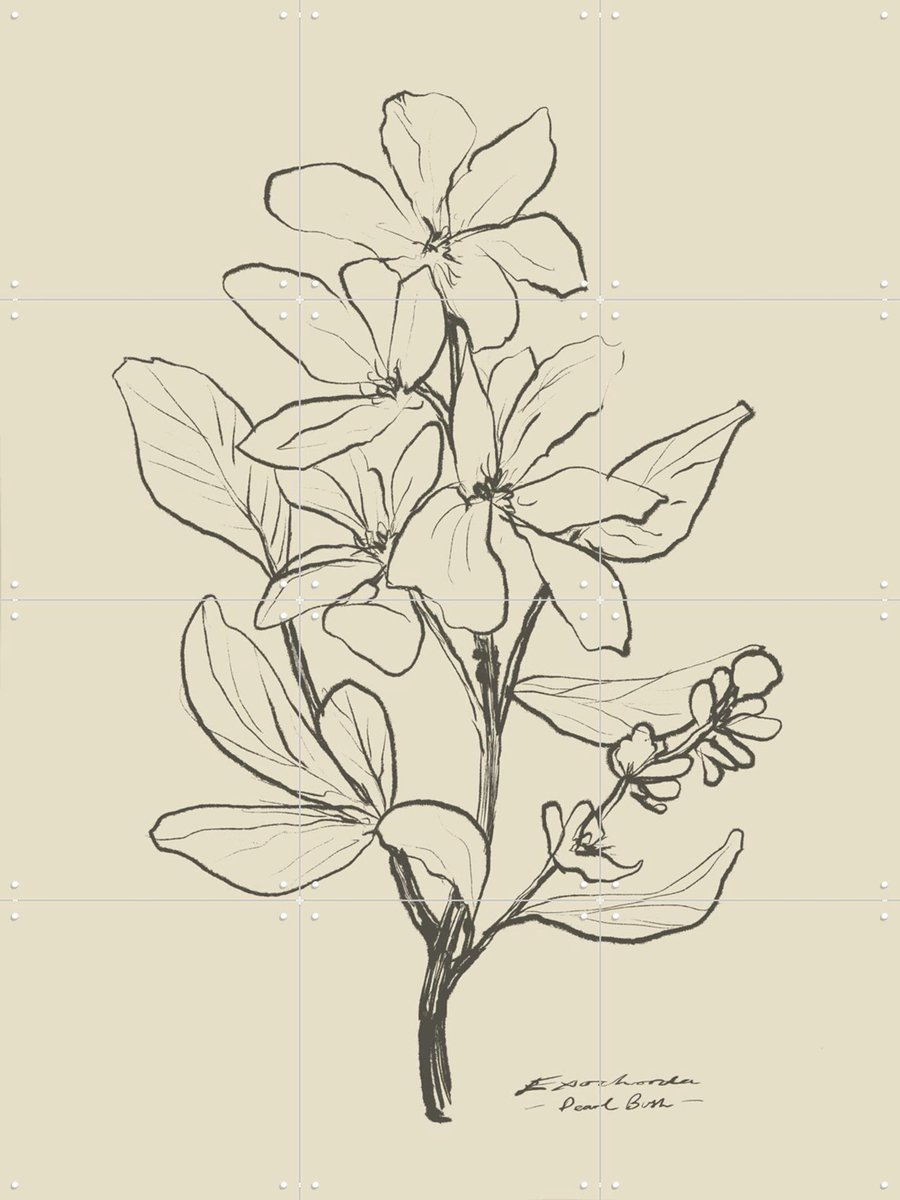 IXXI Floral 1, Dan Hobday & Various - 60 x 80 cm - Gratis ophangtool - Grote wanddecoratie en posters - Naturalisme, Minimalisme, Tekeningen, Line