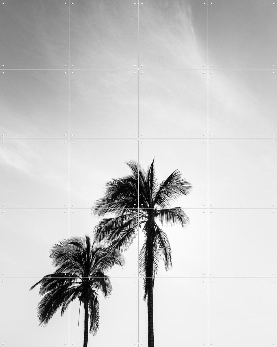 IXXI Palms In The Middle East, Photolovers - 80 x 100 cm - Gratis ophangtool - Grote wanddecoratie en posters - Naturalisme, Minimalisme, Abstract