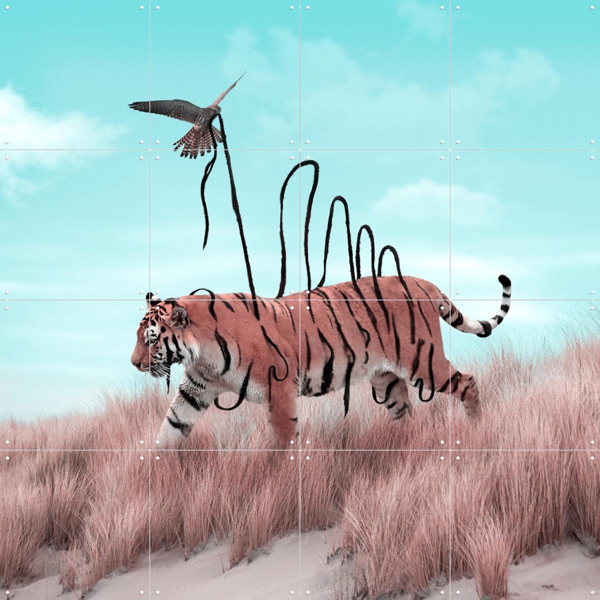 IXXI Dexterity, Julien Tabet - 80 x 80 cm - Gratis ophangtool - Grote wanddecoratie en posters - Fotografie, Speels, Wilde dieren, Natuur