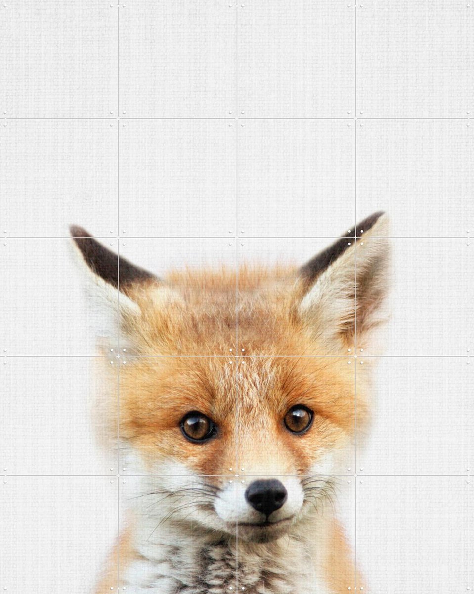IXXI Print 350 Fox, Lila + Lola - 80 x 100 cm - Gratis ophangtool - Grote wanddecoratie en posters - Fotografie, Illustraties, Kinderkamer, Woonkamer