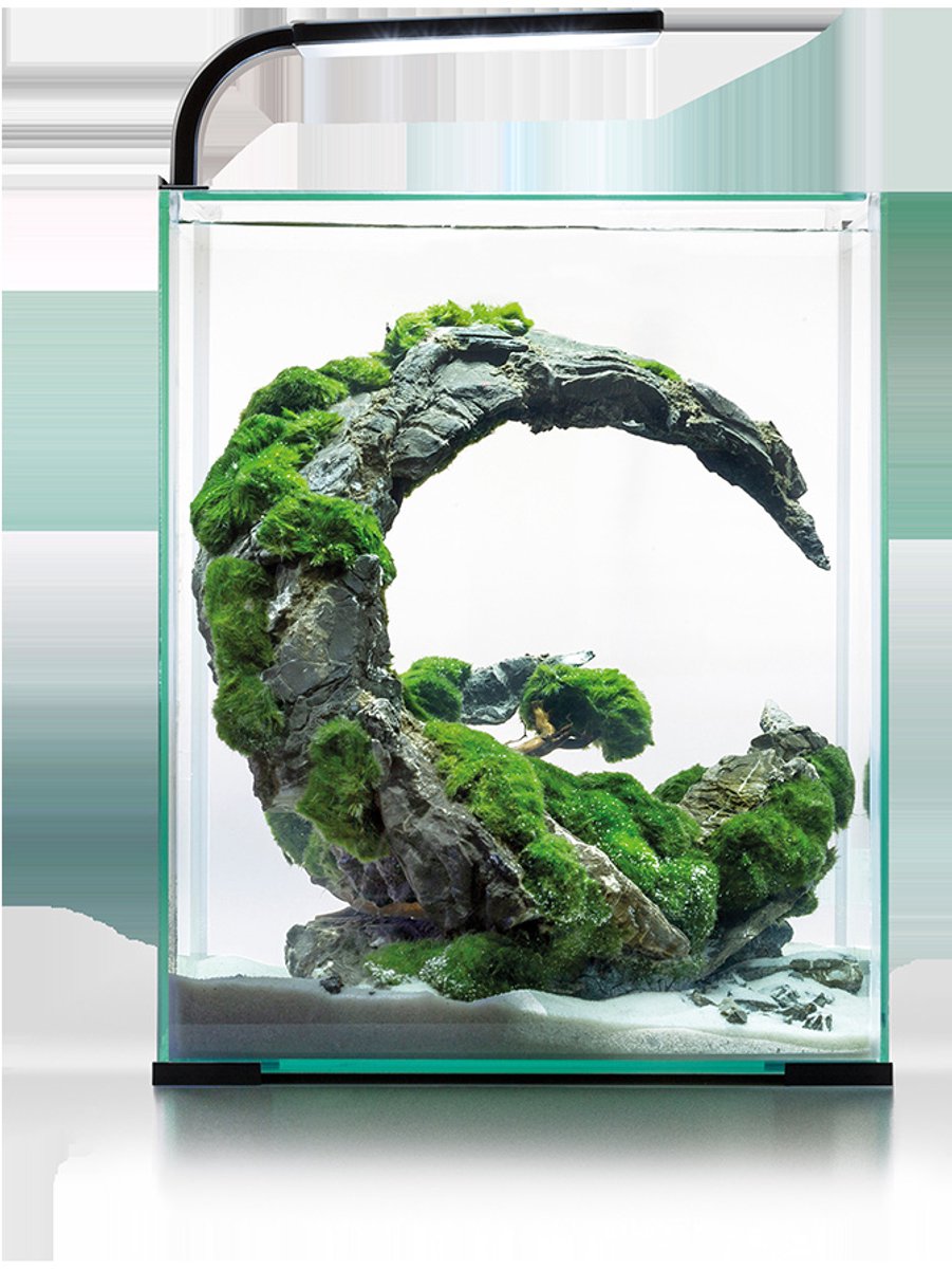 Aquael Shrimp Set Dag & Nacht 30 | 29L | 29 x 29 x 35CM Zwart