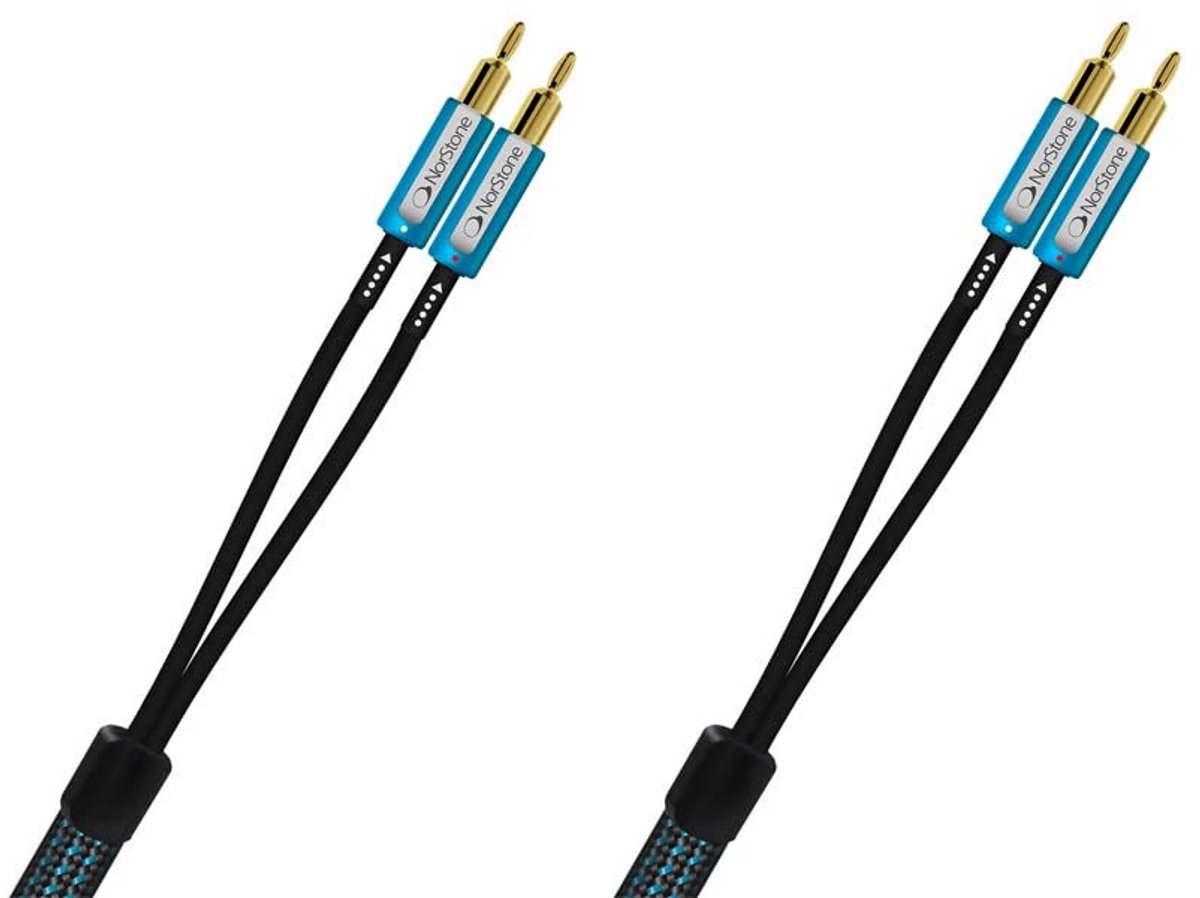 Hoogwaardige Luidsprekerkabel met Verzilverde Koperen Geleiders en Verwisselbare Connectoren