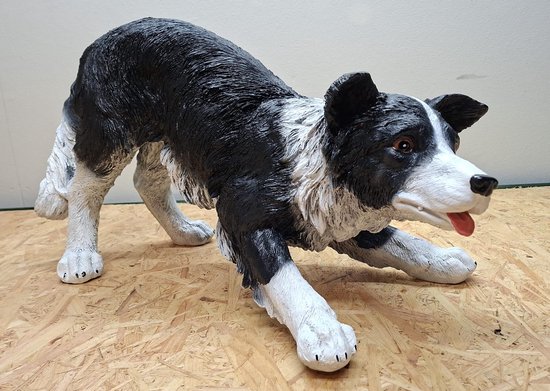 Border Collie Hond Beeld Zwart Wit - 30cm hoog - polyresin - polystone ...