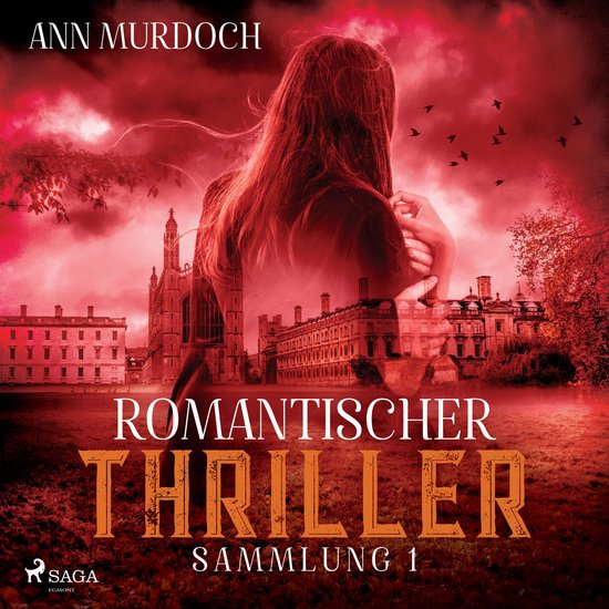 Romantischer Thriller Sammlung 1 - cover