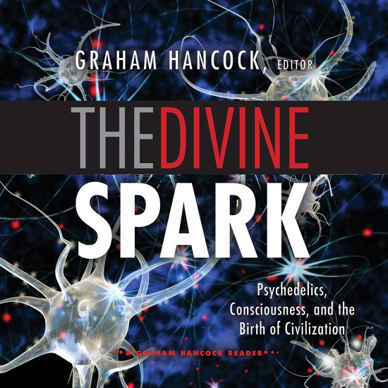 The Divine Spark - cover