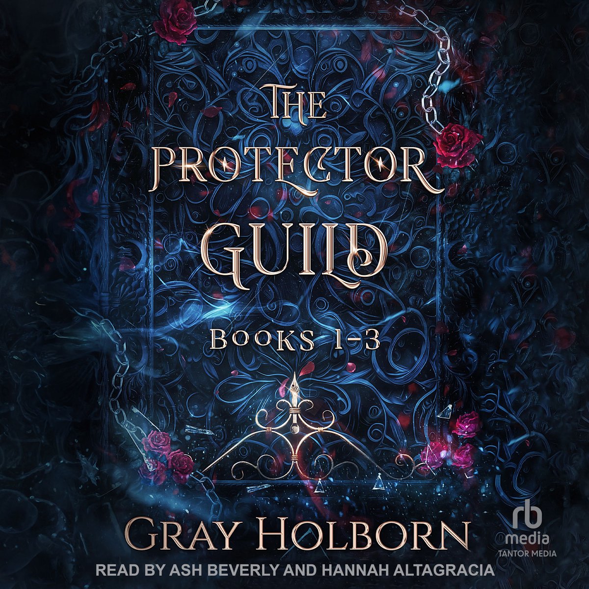 The Protector Guild, Books 1-3