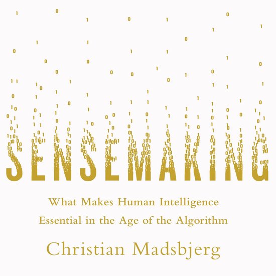 Sensemaking - cover