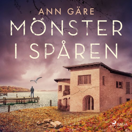 Mönster i spåren - cover