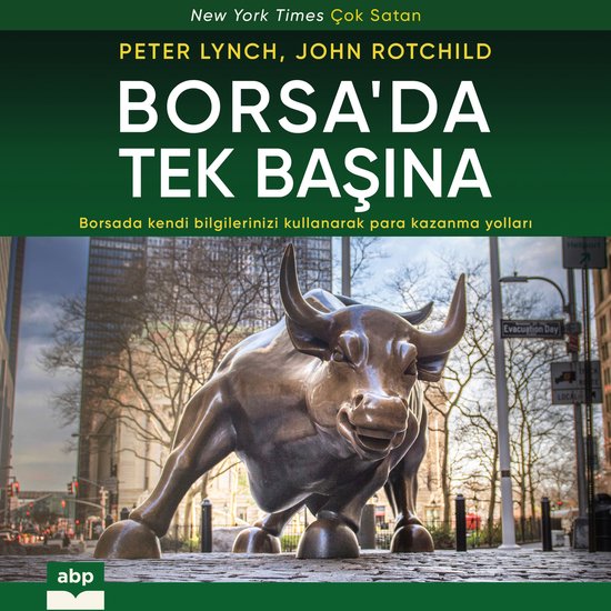 Borsa'da Tek Başına - Borsada kendi bilgilerinizi kullanar ... - cover