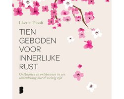 Omslag van Tien geboden voor innerlijke rust