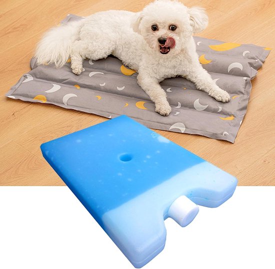 Koelpack - Herbruikbaar Ijspak - Buitenactiviteiten - Snel Invriezen - 15x10cm - Blauw — afbeelding 5