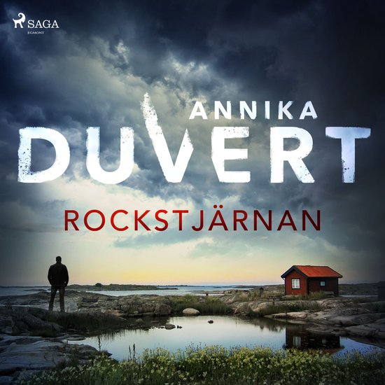 Rockstjärnan - cover