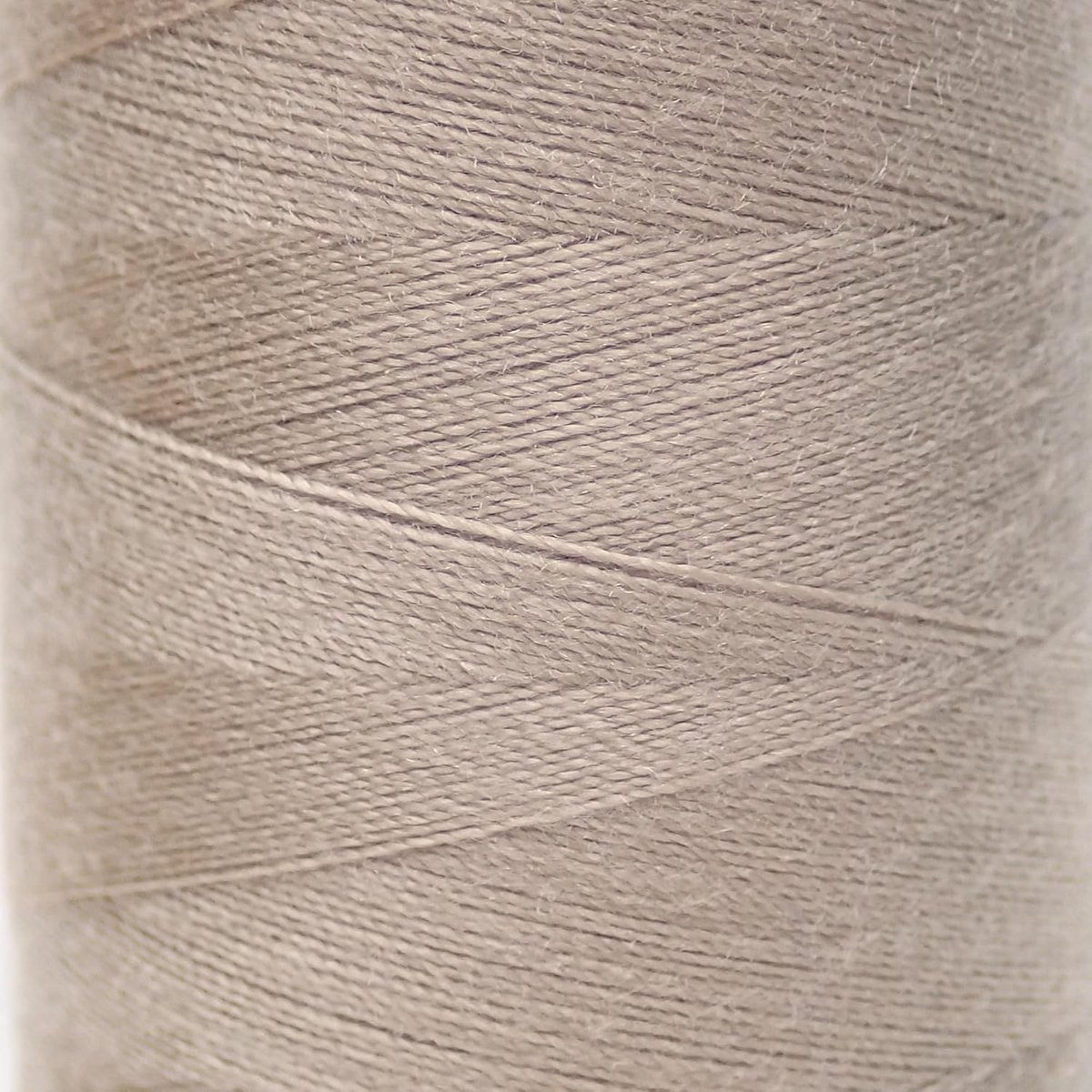 Polyester Naaigaren - Naaimachine Draad - Kleding Maken - Duurzaam Glad Materiaal - 1000 Meter Spoel - Beige