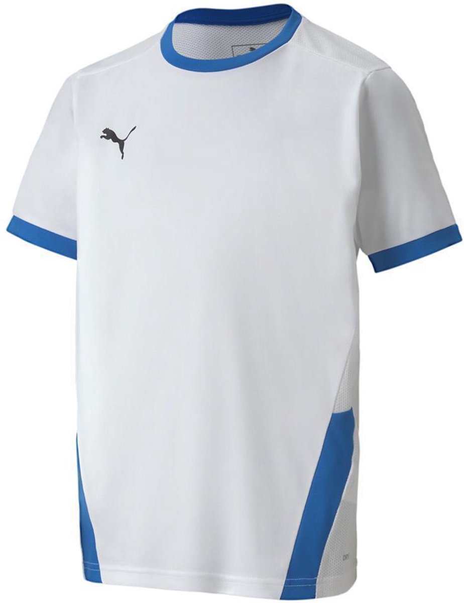 Puma T-shirt Kinderen teamGOAL 23 Jersey – 116cm Blauw