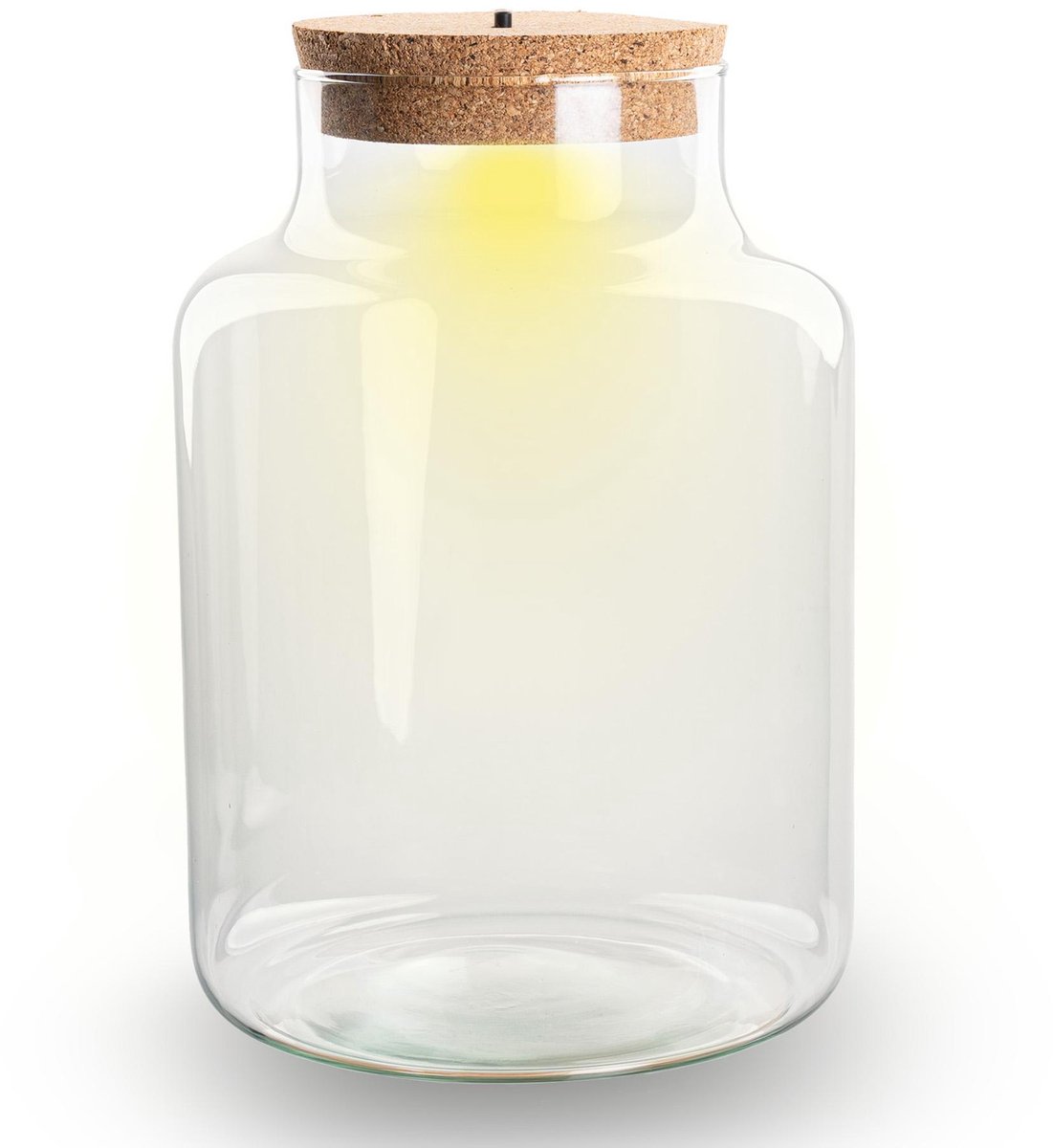 Terrarium bottle garden - DIY Terrarium Online | Florazo