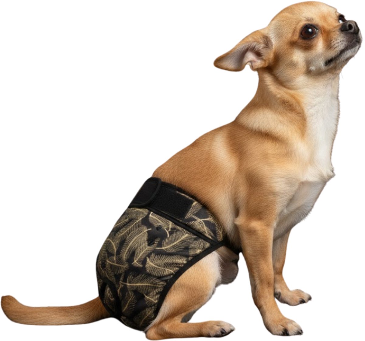 Loopsheidbroekje hond - Zwartgouden palm - XS - Hondenbroekje - Hondenluier - Machinewasbaar