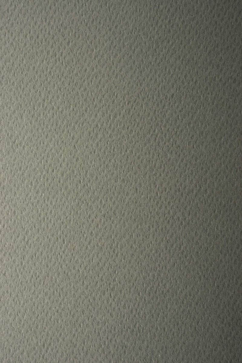 10x Grijs Karton A3 (297x420mm) 220g Structuurpapier voor Knutselen, Kaarten en Decoratie