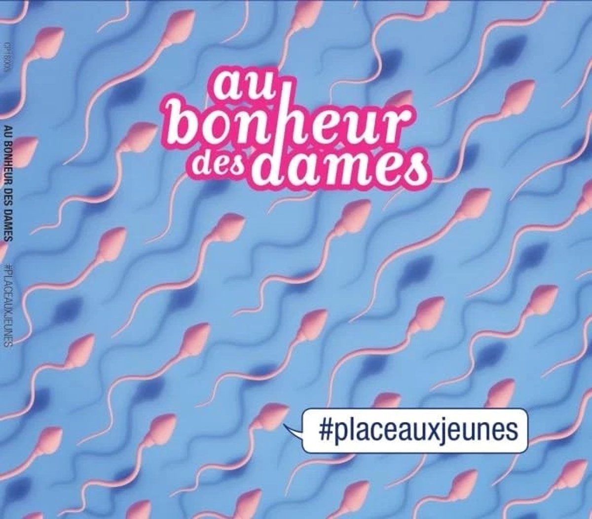 Au Bonheur Des Dames - Place Aux Jeunes (CD)