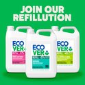 Trois bouteilles Ecover : violet "FABRIC SOFTENER", vert "ALL PURPOSE CLEANER", bleu "LAUNDRY LIQUID UNIVERSAL".