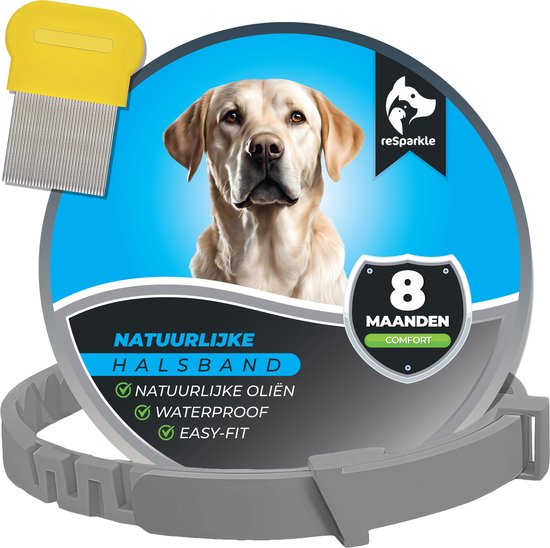 Labrador met grijze reSparkle halsband. Inclusief vlooienkam en info 'Natuurlijke halsband 8 maanden comfort'.