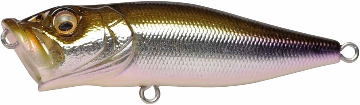 Topwater Popper Vliegen Vissen Kunstaas Hondewandelnaturel
