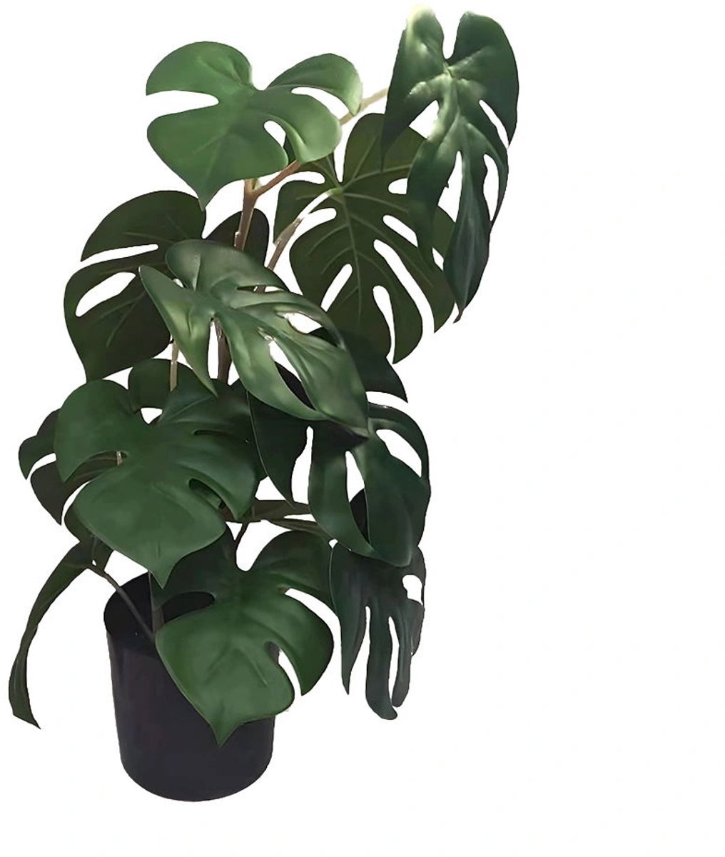 Buitengewoon de boet - Monstera 46 cm kunstplant